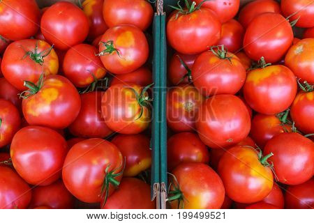Fresh red tomatoes poured into a box in the market.