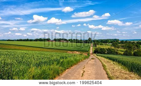 Hessian summer landscape with green cereal fields, Germany