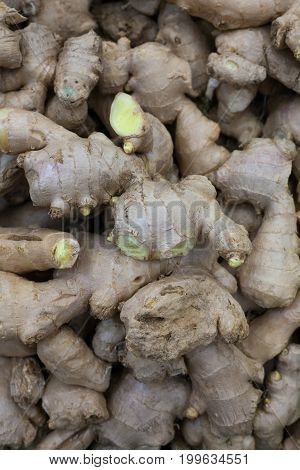 heap of ginger root Ginger background A bunch of ginger on the counter of a vegetable supermarket for sale top view