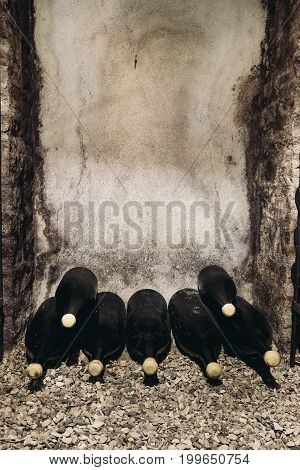 Bottles of wine on shelves in an old wine cellar winemaking in France