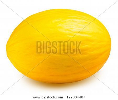 Yellow melon isolated on white background, fruit