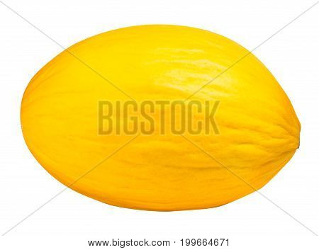 Yellow Melon Isolated On White Background