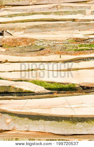 Timber trunks and logs on a lumberyard