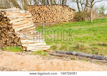 Timber trunks and logs on a lumberyard