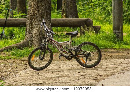 Mountain bike without man in the park on a background of green trees