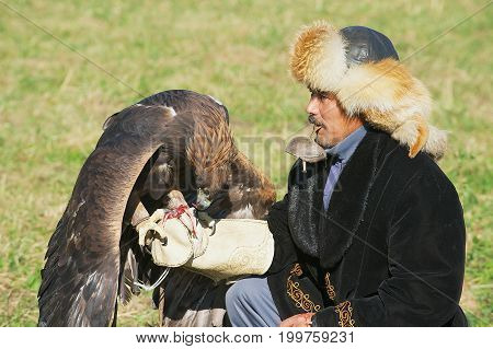 CIRCA ALMATY, KAZAKHSTAN - SEPTEMBER 18, 2011: Unidentified kazakh hunter feeds golden eagle (Aquila chrysaetos) Almaty, Kazakhstan.