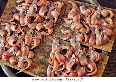 close up view of fresh fish selling on market