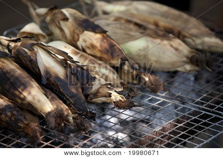 Roasted Corn