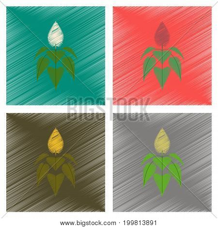 assembly flat shading style illustration of herb amaranthus