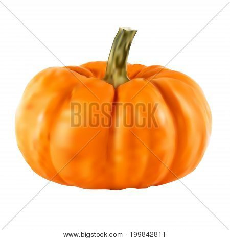 Realistic vector pumpkin isolated on transparency grid background