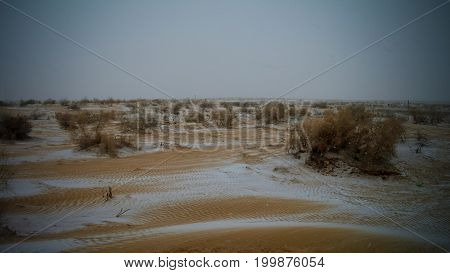Snow in the Kyzylkum desert in Uzbekistan