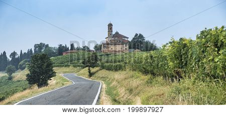 Rural landscape at summertime along the road from Ganaghello to Vicobarone (Piacenza Emilia Romagna Italy) in the Tidone valley. Vineyards