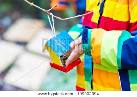 Little kid feeding birds in winter. Child hanging colorful selfmade bird house on tree on frosty cold day. Toddler in colorful wam clothes. Selective focus on hands and feeder with seeds