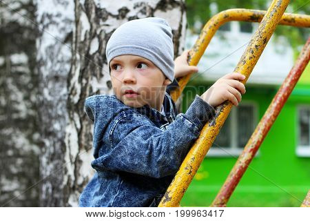 Portrait Of Little Boy On Nature Background Among Birches