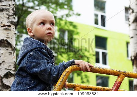 Portrait Of Little Boy On Nature Background Among Birches