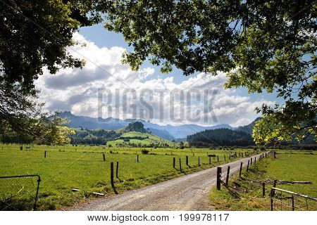 Green Landscape