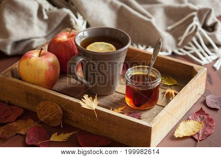 hot lemon honey tea warming drink scarf cozy autumn leaves