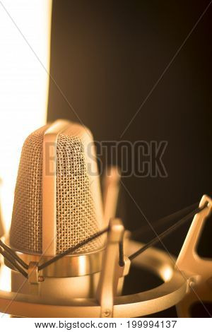 Studio Voiceover Microphone