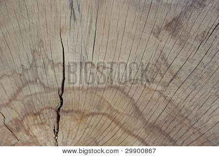 Wood texture