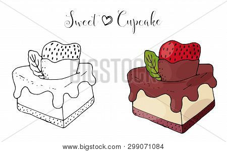 Vector Isolated Cake Or Cupcake, Dessert With Berry