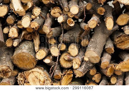 Many Pile Of Wood In The Village