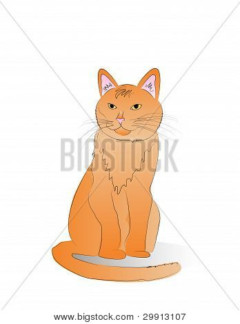 Illustrazione vettoriale gatto arancione