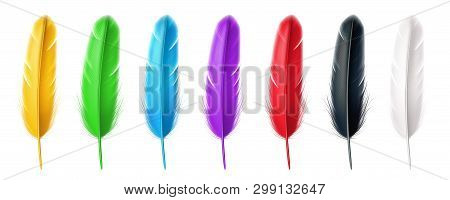 Black And White, Yellow, Green, Blue, Purple, Red Realistic Feather Of Birds. Set Of Isolated Colorf