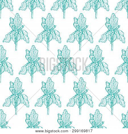 Flower Iris Blue Chess Pattern Vector Illustration