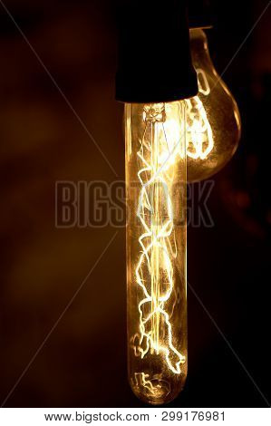 Bulbs Erickson Suspended With The Cells With The Decoration Bird. Yellow Warm Lamp Light