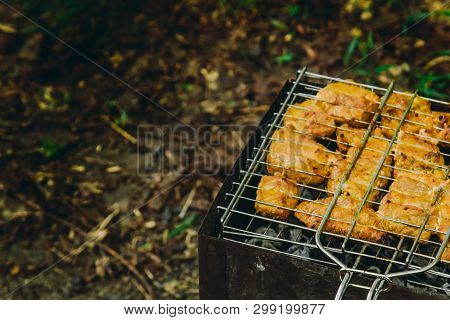 Cubes Of Pickled Meat In A Grill Grate At Brazier. Barbecue Kebab On Embers Outdors. Grilled Picnic