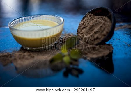 Ayurvedic Herb Brahmi Or Waterhyssop With Its Beneficial Paste Ina  Glass Bowl Along With Its Powder