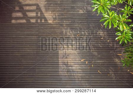 Sunshine On Dark Wooden Floor With Shadows Of Trees And A Building. Green Foliage In Summer. Sri Nak