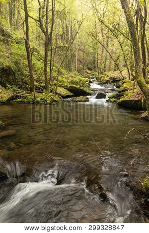 In A Coruña, There Are Four Waterfalls Of The Mendo River, In A Lively Forest Environment. Belongs T