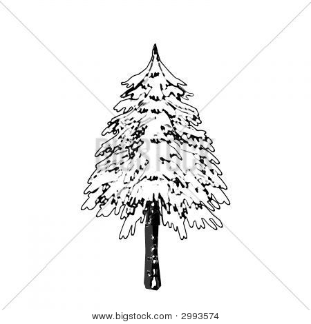 Schwarz & weiß Baum