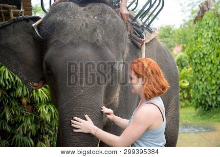 Red-haired Girl Stroking An Elephant. After Walking Through The Jungle