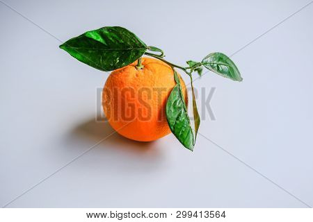 Whole Orange With Skin On And Green Leaves On A Light Grey Background.  Beautiful Fresh Looking Oran