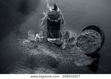 Ayurvedic Herb Brahmi Or Waterhyssop Oil In A Small Transparent Glass Bottle Along With Its Powder O