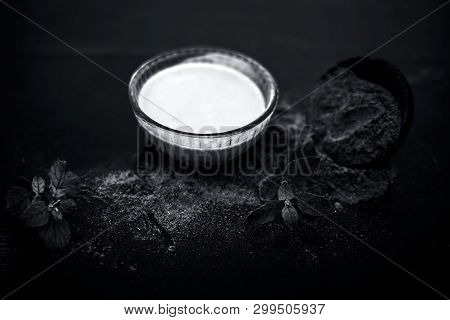 Ayurvedic Herb Brahmi Or Waterhyssop With Its Beneficial Paste Ina  Glass Bowl Along With Its Powder
