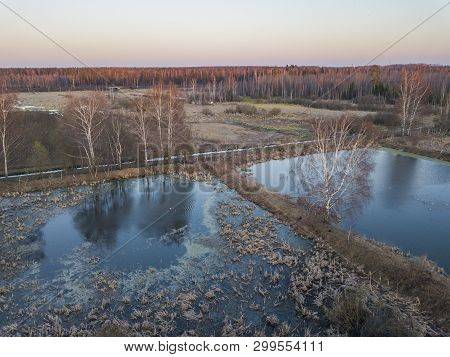 Ponds And Forest Near Lugovaya, Moscow Region