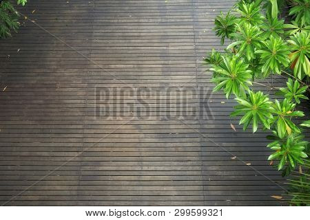 High Angle View Of Dark Wooden Floor With Lush Foliage Trees In Summer. Sri Nakhon Khuean Khan Publi