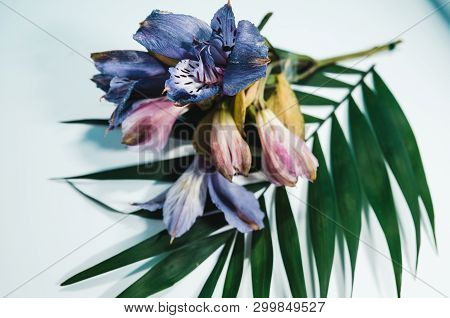 Green Tropical Palm Leaf Background With A Bouquet Of Purple Flowers. Floral Bloooming Nature On Blu