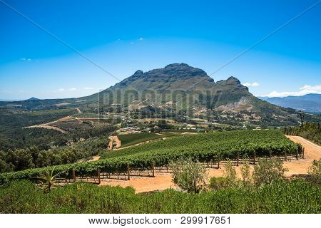 Beautiful Landscape Of Cape Winelands, Wine Growing Region In South Africa