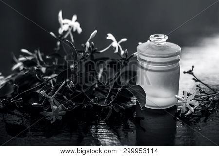 Close Up Of  Essential Oil Of Indian Jasmine Flower Or Juhi Or Jasminum Auriculatum Isolated On Whit