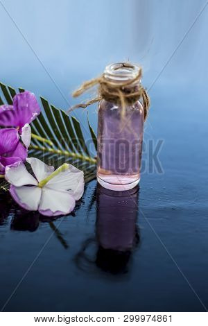 Herbal And Floral Essence Or Concentration Made From Rosmarinus Officinalis Also Known As Rosemarry
