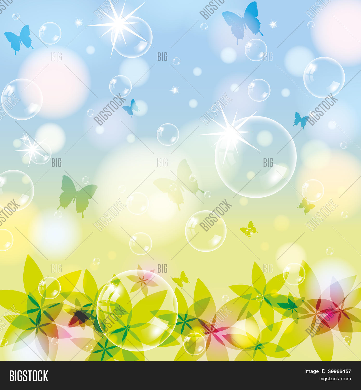 Image Preview