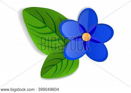Blue Origami  Paper Violet Flower Isolated On White Background. Paper Cut And Craft Style. Paper Art