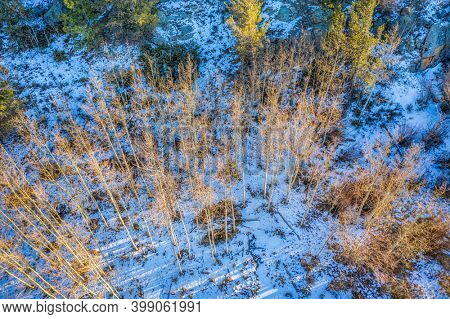 aspen grove in winter scenery, aerial view of Vedauwoo Recreational Area in Wyoming