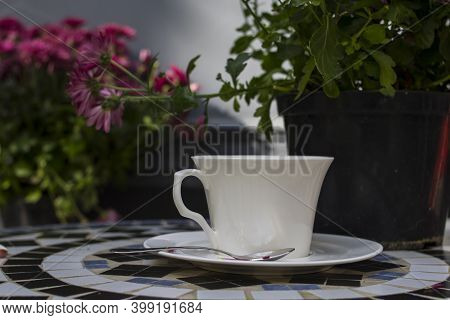 White Coffee Cup And A Pot Of Pink Chrysanthemums
