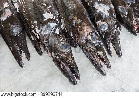 Black Scabbard , Espada, On Ice For Sale In Fish Market Funchal At Portugese Madeira Island