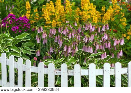Flowers Blooming On Flowerbed Framed With Small White Fence, Backyard Plot Arrangement